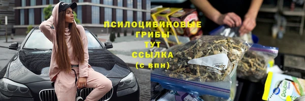 не бодяженный Алзамай