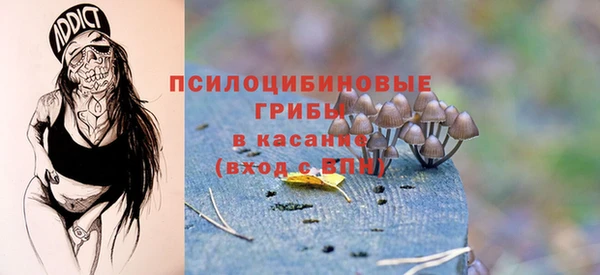 мет Мегион