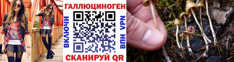 Галлюциногенные грибы прущие грибы  Старая Купавна 